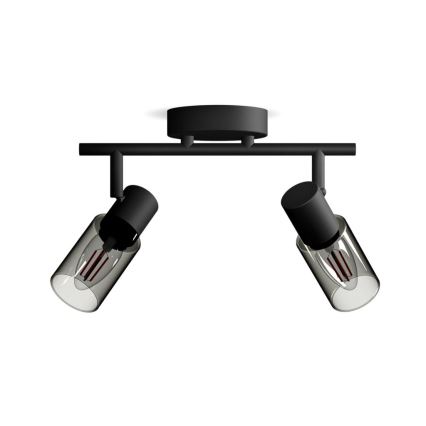 Philips - Spotlight PALMS 2xE14/25W/230V