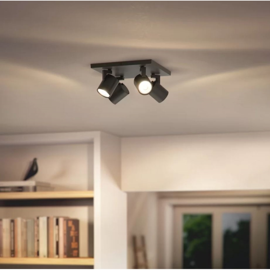 Philips - Spotlight 4xGU10/20W/230V svart
