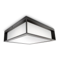 Philips - Utomhus taklampa  SKIES 2xE27/14W/230V IP44 antracit