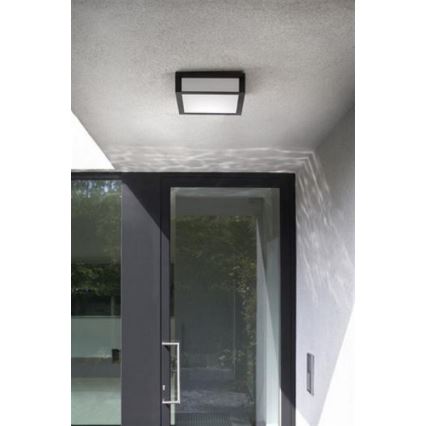 Philips - Utomhus taklampa  SKIES 2xE27/14W/230V IP44 antracit