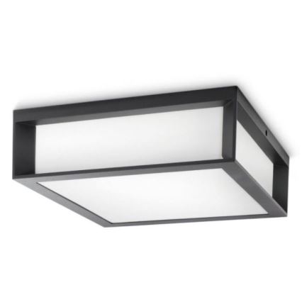 Philips - Utomhus taklampa  SKIES 2xE27/14W/230V IP44 antracit