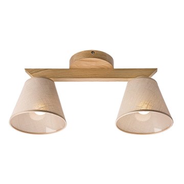 Plafondlampa ANTONIO 2xE14/40W/230V ek
