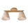 Plafondlampa ANTONIO 2xE14/40W/230V ek