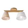 Plafondlampa ANTONIO 2xE14/40W/230V ek