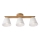 Plafondlampa ANTONIO 3xE14/40W/230V ek