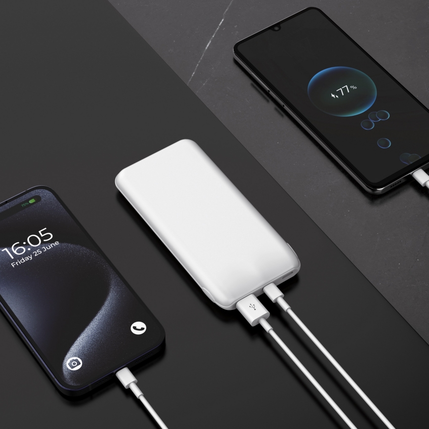 Power bank 10000 mAh 10W Power Delivery 2xUSB-C + 1xUSB-A vit
