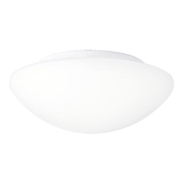 Prezent 1500 - Takbelysning ASPEN 1xE27/60W/230V IP44
