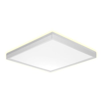Prezent 27309 - LED taklampa för badrum CORDIA SQ LED/24W/230V 3000/6000K IP54 vit