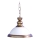 Prezent 30021 - Reservglas till ORION taklampa