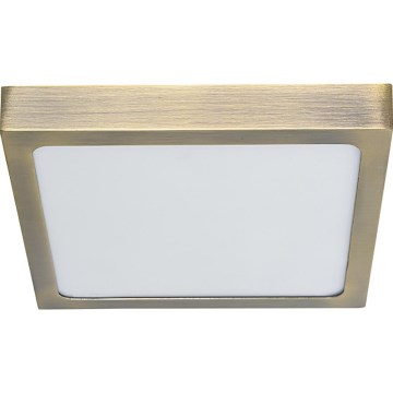 Prezent 49064 - LED taklampa LENYS LED/22W/230V 4000K 22,5x22,5 cm mässing