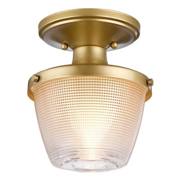 Quoizel - Badrum takbelysning DUBLIN 1xE27/40W/230V IP44 guld