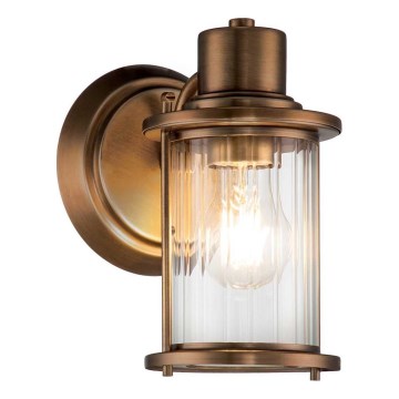 Quoizel - Vägglampa för badrum RIGGS 1xE27/40W/230V IP44