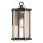 Quoizel - Vägglampa för utomhusbruk GOLDENROD 1xE27/100W/230V IP44 svart/gyllene