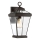 Quoizel - Vägglampa för utomhusbruk RAVINE 1xE27/60W/230V IP44 brun