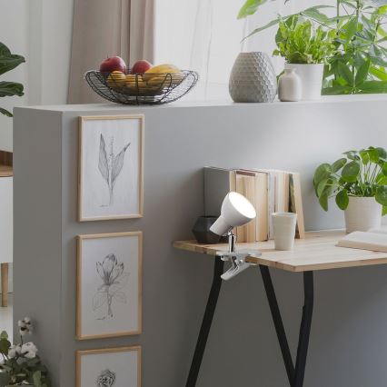 Rabalux 1480 - LED-lampa med klämma NOAH LED/5W/230V