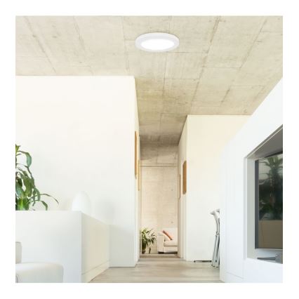 Rabalux - LED taklampa med sensor LED/18W/230V 4000K 22,5 cm