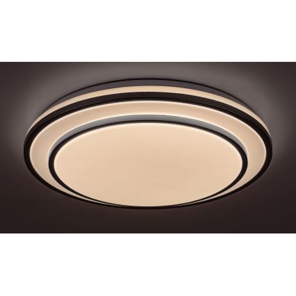 Rabalux 2131 - LED Dimbar taklampa LED/40W/230V silver + fjärrkontroll