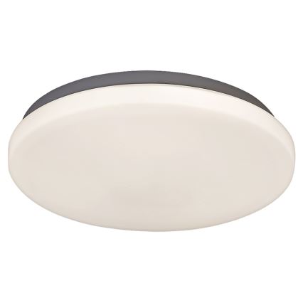 Rabalux 2284 - LED Takbelysning ROB 1xLED/20W/230V