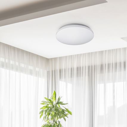 Rabalux 2285 - LED Takbelysning ROB 1xLED/32W/230V