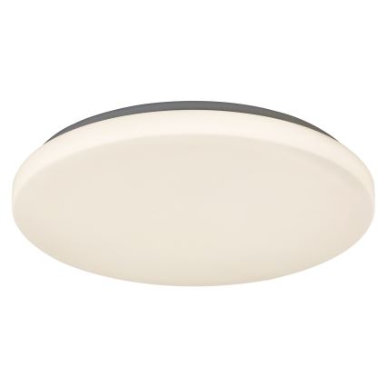 Rabalux 2285 - LED Takbelysning ROB 1xLED/32W/230V
