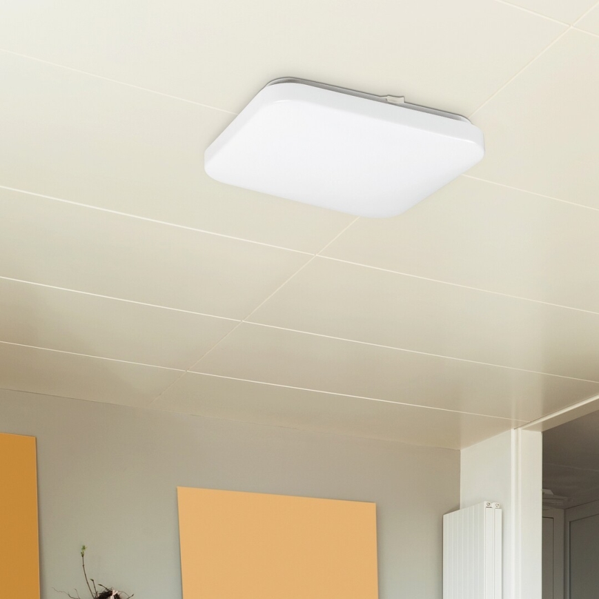 Rabalux 2286 - LED Takbelysning ROB 1xLED/20W/230V