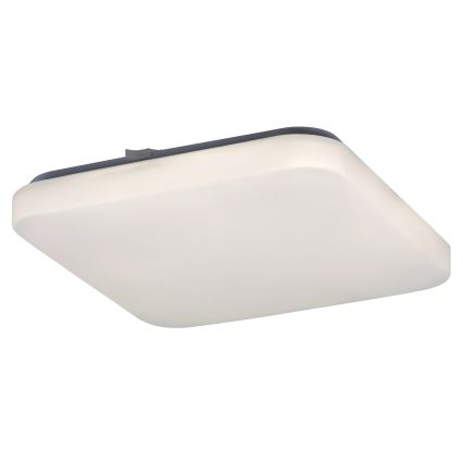 Rabalux 2286 - LED Takbelysning ROB 1xLED/20W/230V