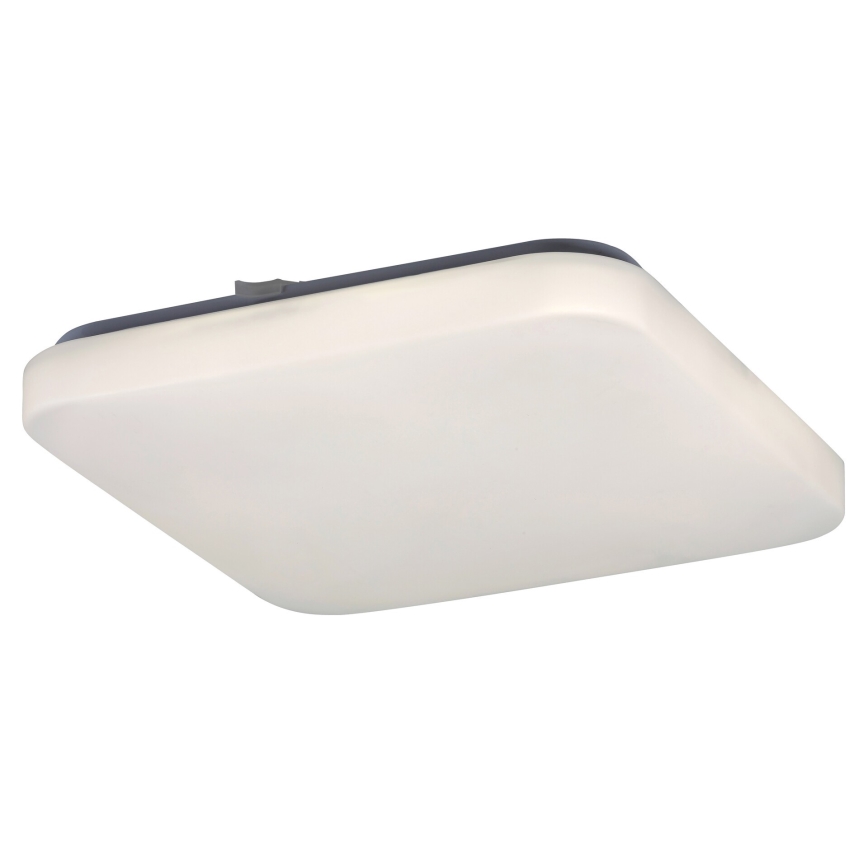 Rabalux 2286 - LED Takbelysning ROB 1xLED/20W/230V