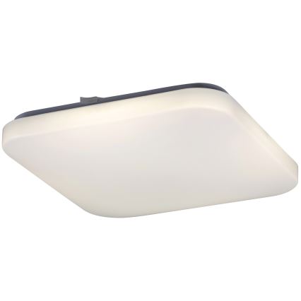 Rabalux 2287 - LED Takbelysning ROB 1xLED/32W/230V