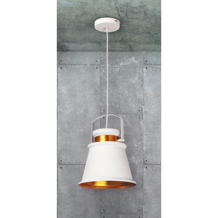 Rabalux 2571 - Hängande lampa DUSAN E27/40W