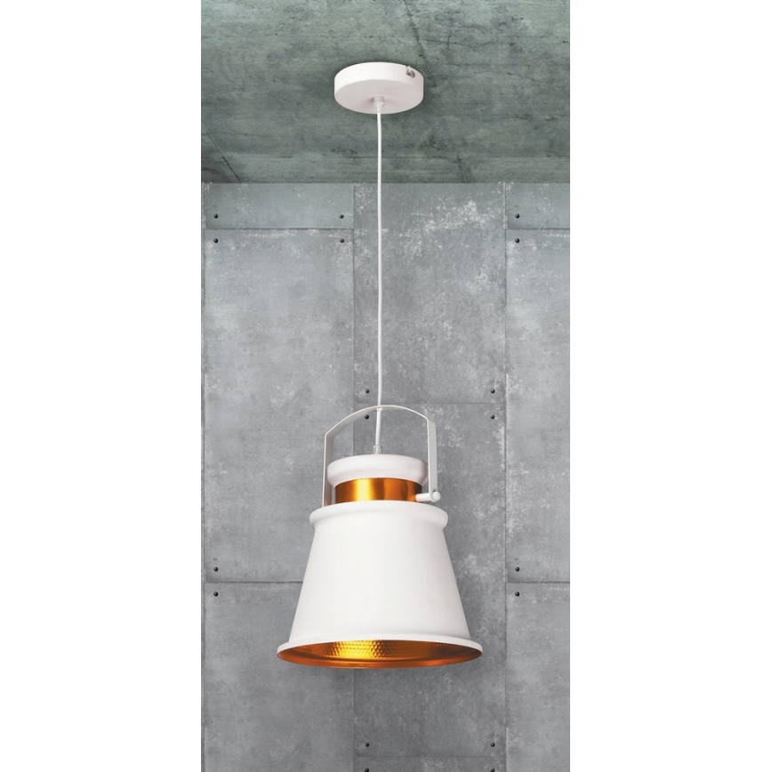 Rabalux 2571 - Hängande lampa DUSAN E27/40W