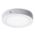 Rabalux 2655 - LED Takbelysning LOIS LED/12W/230V