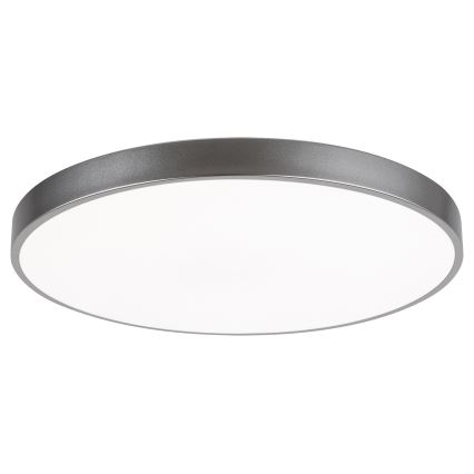Rabalux - LED ljusreglerad taklampa  LED/60W/230V 60 cm + Fjärrkontroll 