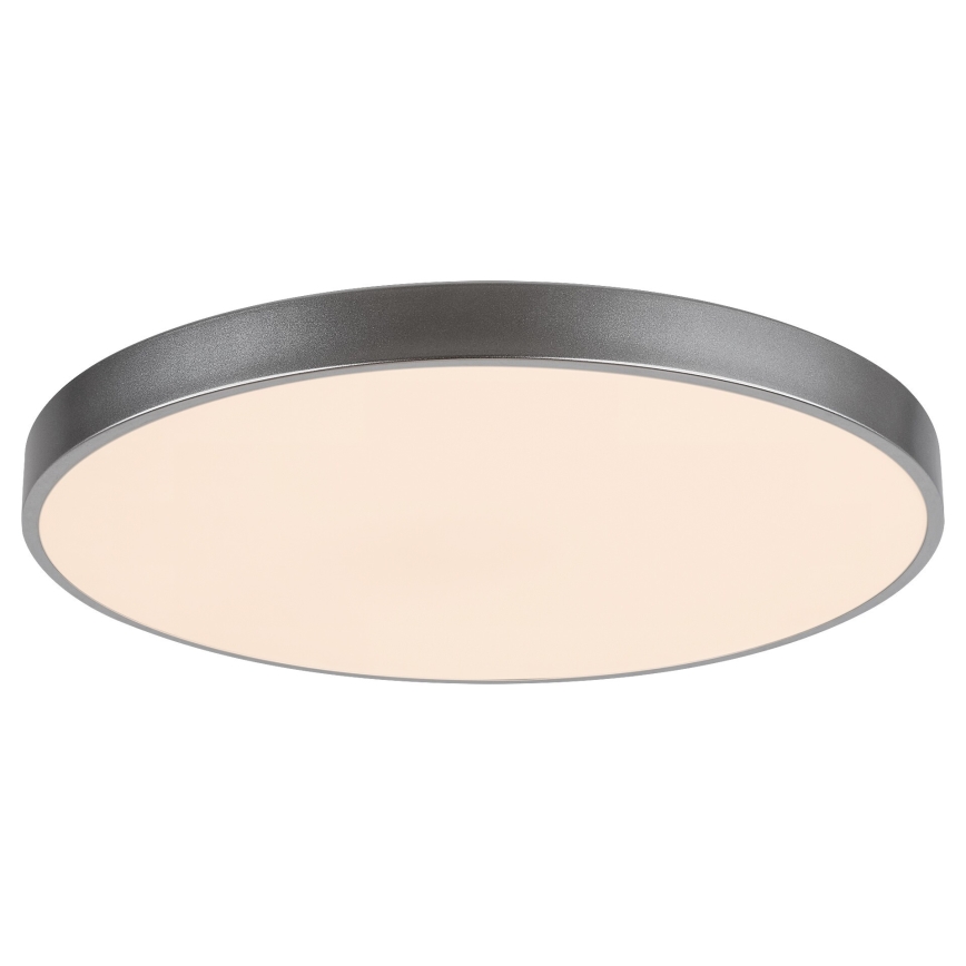 Rabalux - LED ljusreglerad taklampa  LED/60W/230V 60 cm + Fjärrkontroll 