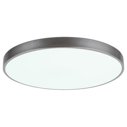 Rabalux - LED ljusreglerad taklampa  LED/60W/230V 60 cm + Fjärrkontroll 