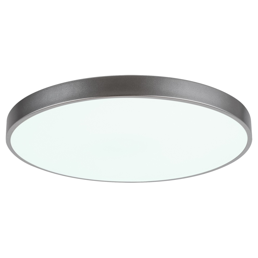 Rabalux - LED ljusreglerad taklampa  LED/60W/230V 60 cm + Fjärrkontroll 