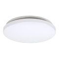 Rabalux 3338 - LED Takbelysning ROB LED/20W/230V