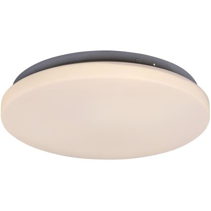 Rabalux 3338 - LED Takbelysning ROB LED/20W/230V