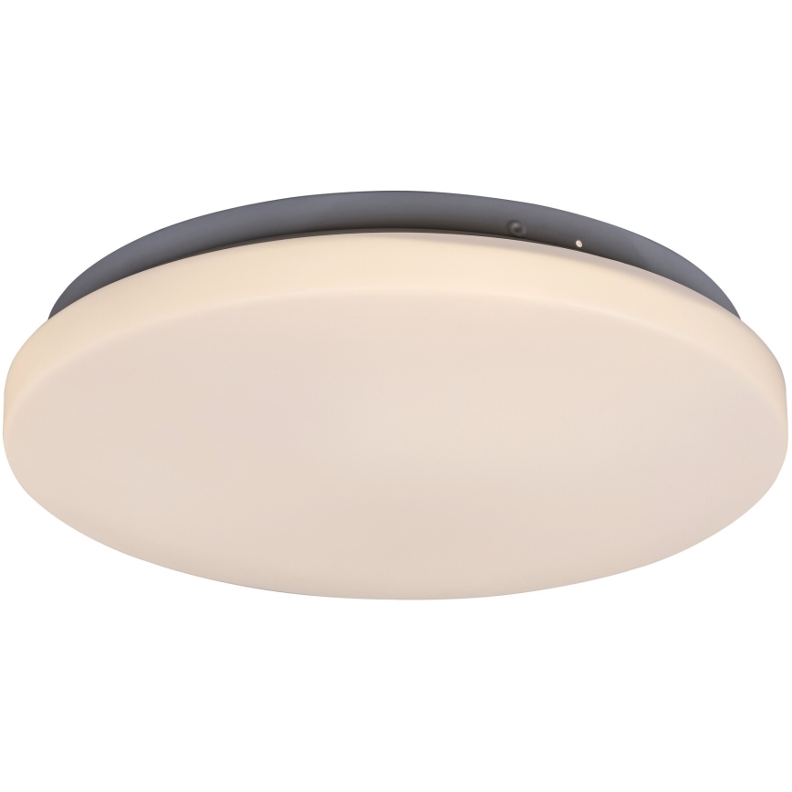 Rabalux 3338 - LED Takbelysning ROB LED/20W/230V