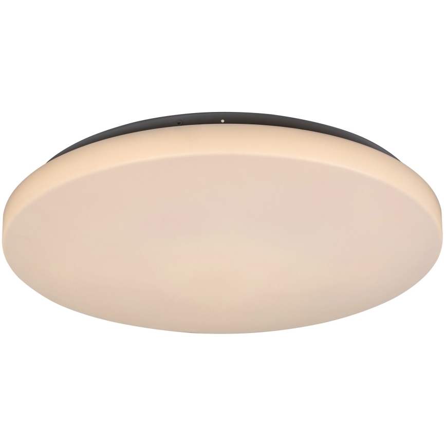 Rabalux - LED taklampa LED/32W/230V