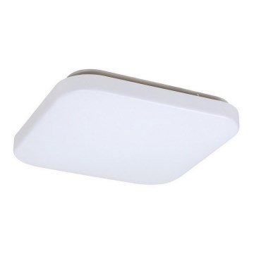 Rabalux 3340 - LED Takbelysning ROB LED/20W/230V