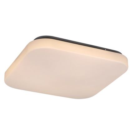 Rabalux - LED taklampa 1xLED/20W/230V 29x29 cm