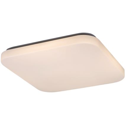 Rabalux 3344 - LED Takbelysning ROB LED/32W/230V