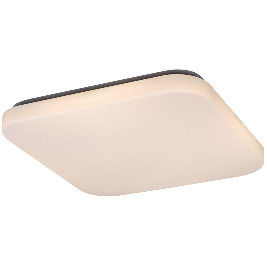 Rabalux 3344 - LED Takbelysning ROB LED/32W/230V