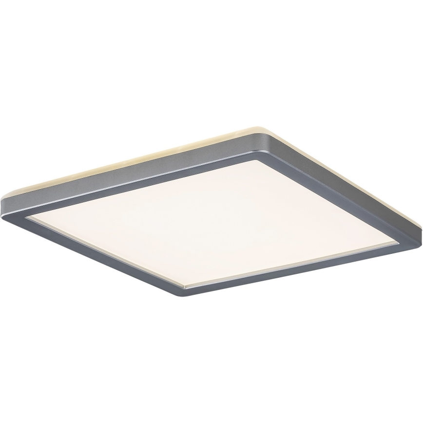 Rabalux 3359 - LED Badrumsbelysning tak LAMBERT LED/15W/230V IP44