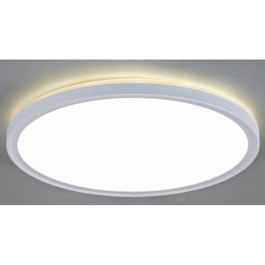 Rabalux 3427 - LED Takbelysning PAVEL LED/18W/230V
