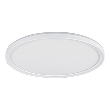 Rabalux 3428 - LED Dimbar Takbelysning PAVEL LED/22W/230V