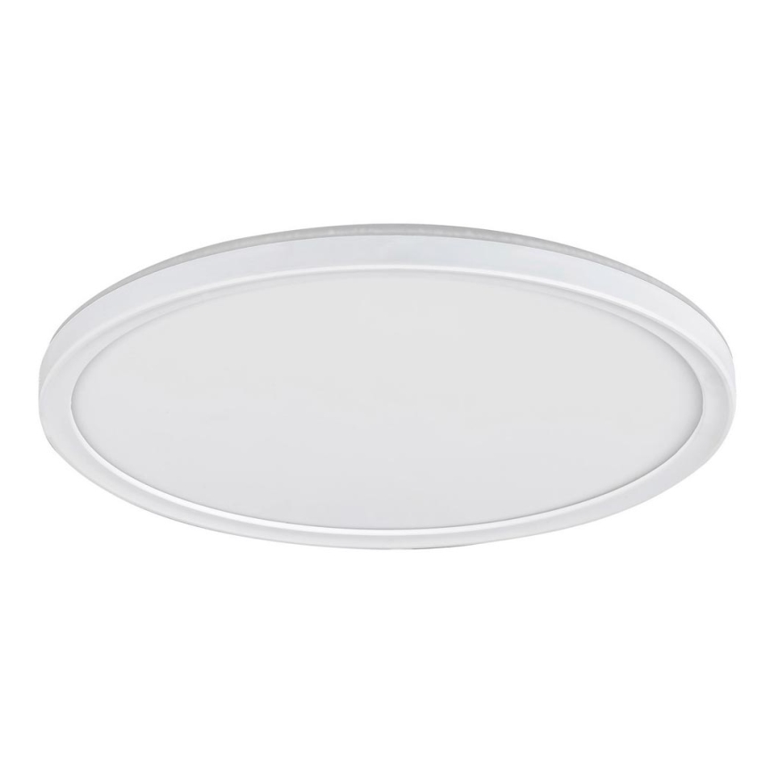 Rabalux 3428 - LED Dimbar Takbelysning PAVEL LED/22W/230V