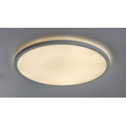 Rabalux 3428 - LED Dimbar Takbelysning PAVEL LED/22W/230V