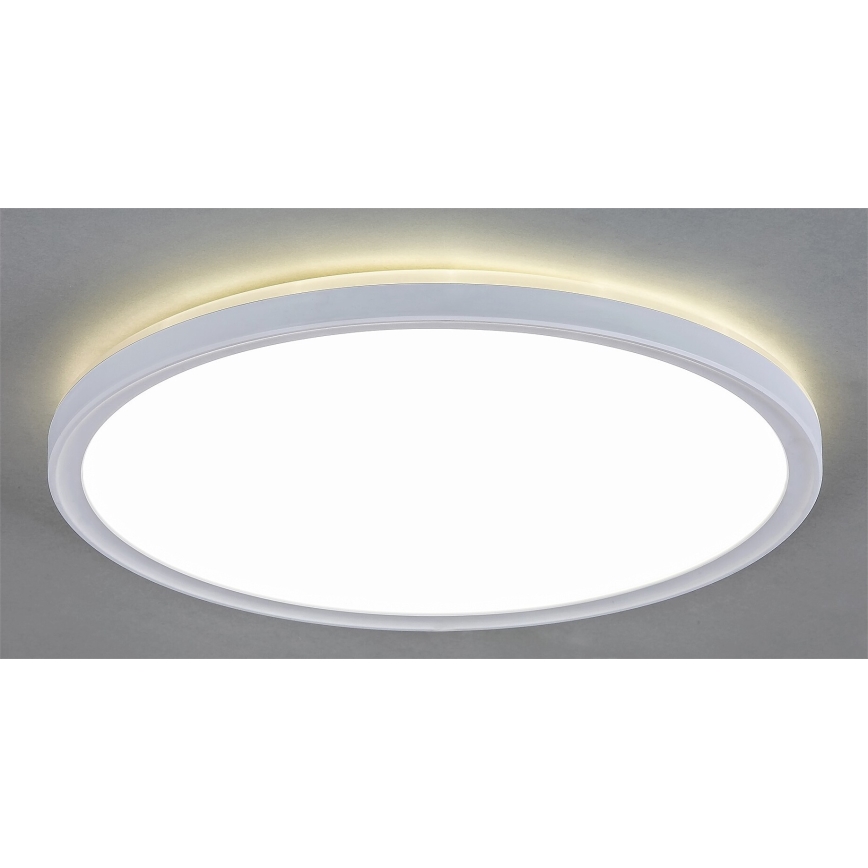 Rabalux 3428 - LED Dimbar Takbelysning PAVEL LED/22W/230V