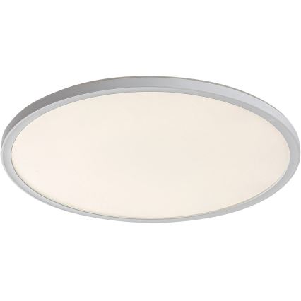 Rabalux 3428 - LED Dimbar Takbelysning PAVEL LED/22W/230V